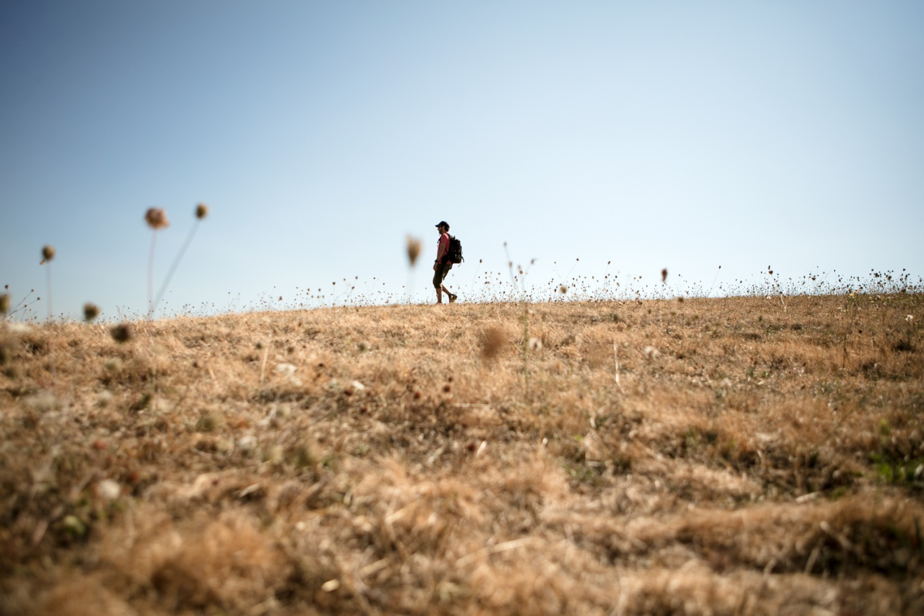 Homme sur es monts d'alban regardant le paysage au loin le paysage