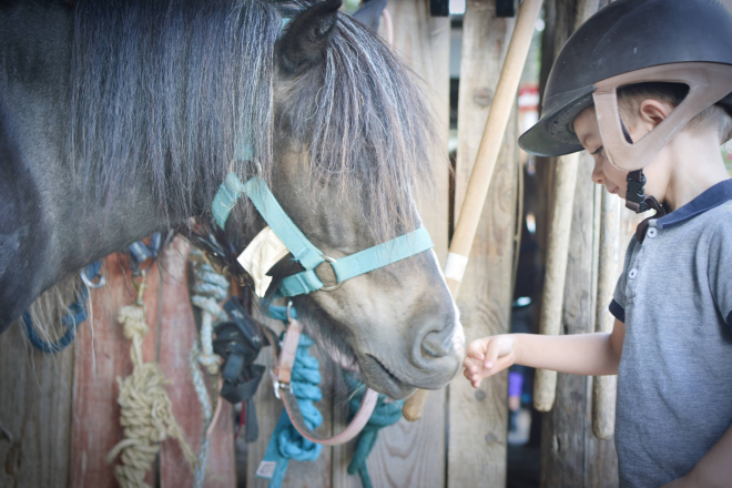 Un petit garçon et un cheval