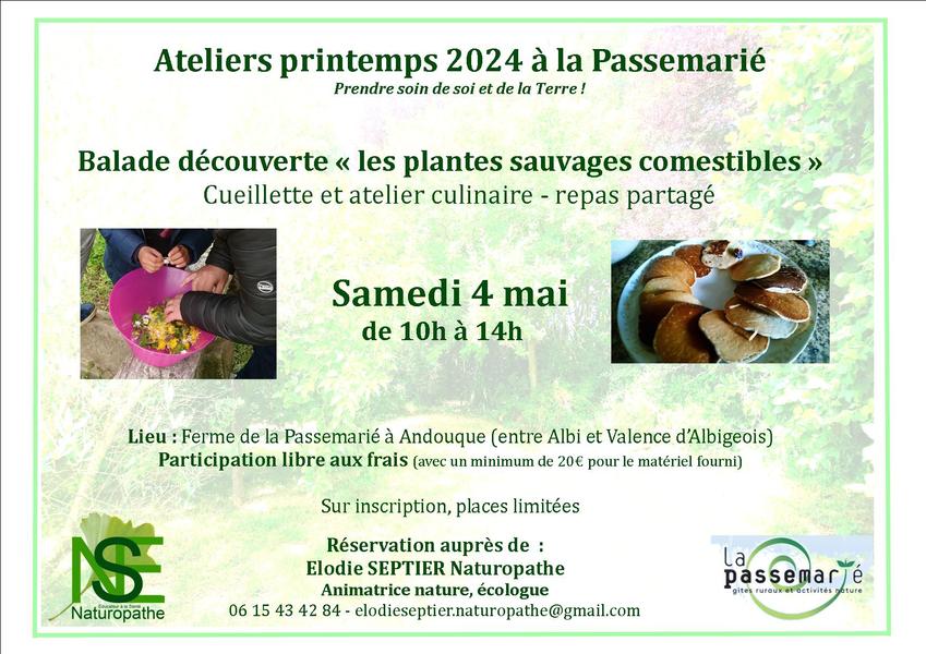 Découverte des plantes comestibles., cueillette et atelier cuisine